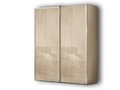 Шкаф-купе 2-х дверный