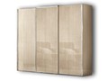 Шкаф-купе 3-х дверный