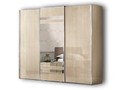 Шкаф-купе 3-х дверный, 1 дв. зеркальная
